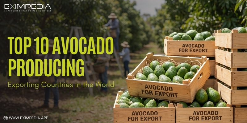 Cameroon Vs. The World: Why Our Hass Avocados Stand Out in the Uae Market.